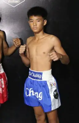 ดาวเหนือ แสงทองค้าแก๊ส